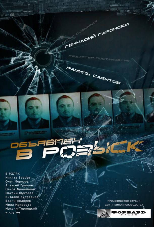 Объявлен в розыск (2010) онлайн бесплатно